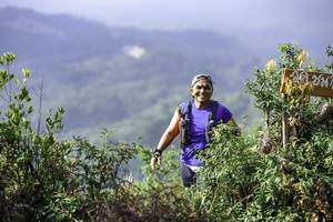 BIB: 
                            <button type="button" onclick="openModal(24766045)" class="btn btn-primary btn-sm float-right btn-popup" data-toggle="modal" data-target=".modal-high-quality">
                        <i class="fas fa-shopping-cart"></i> Add to Cart
                    </button>
                                            <button type="button" onclick="isThisMe(24766045, true)" class="btn btn-success btn-sm float-right btn-popup btn-isme hidden" data-toggle="tooltip" data-placement="bottom" title="นี่คือรูปของคุณใช่ไหม คลิกที่นี่เพื่อเอาเข้าอัลบั้ม">
                        <i class="fas fa-plus"></i> Add to album
                    </button>
                    <button type="button" onclick="isThisMe(24766045, false)" class="btn btn-warning btn-sm float-right btn-popup btn-isnotme hidden">
                        <i class="fas fa-ban"></i> Remove from album
                    </button>